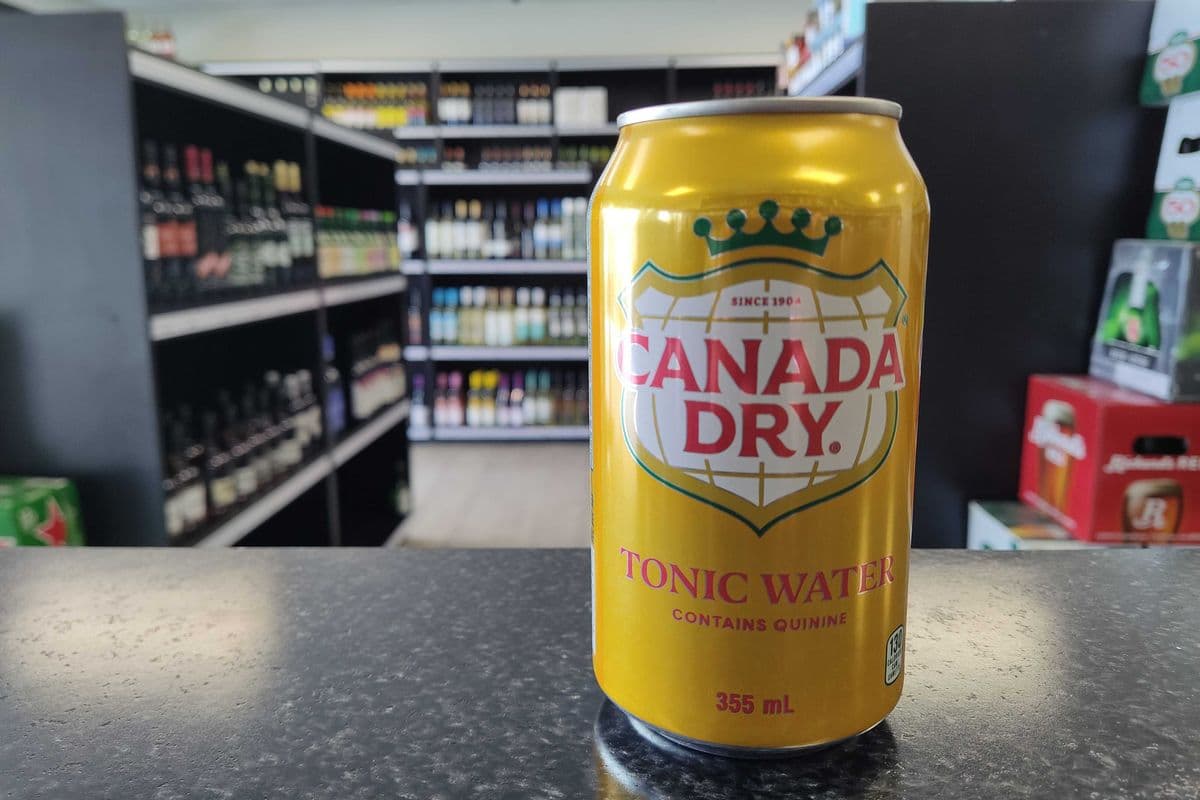 Canada Dry - Tonic Water (355ml Can)