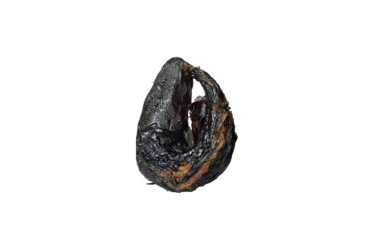 Smoked Catfish - Large