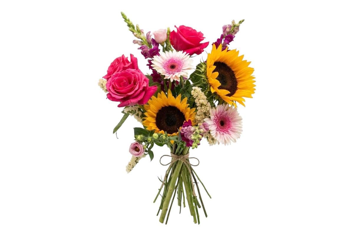 Pet-Friendly Seasonal Bouquet - Medium