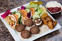 Falafel Plate