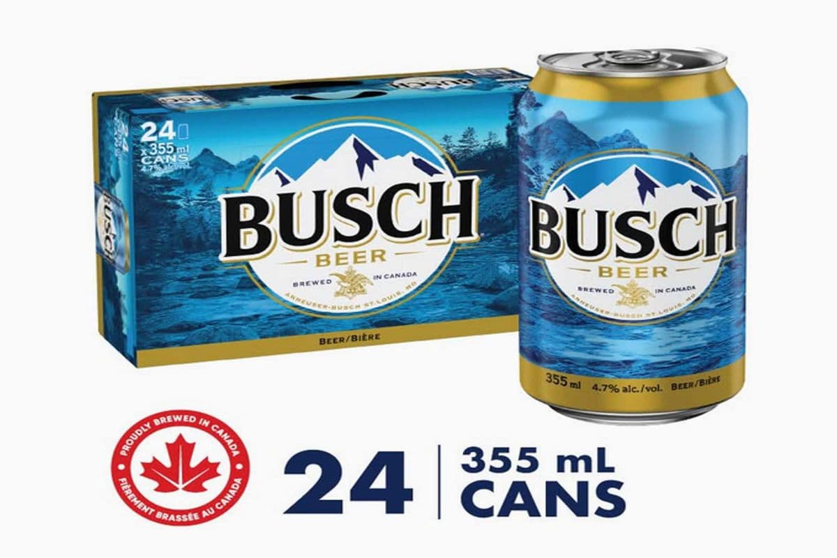 BUSCH (24 x 355 ML)