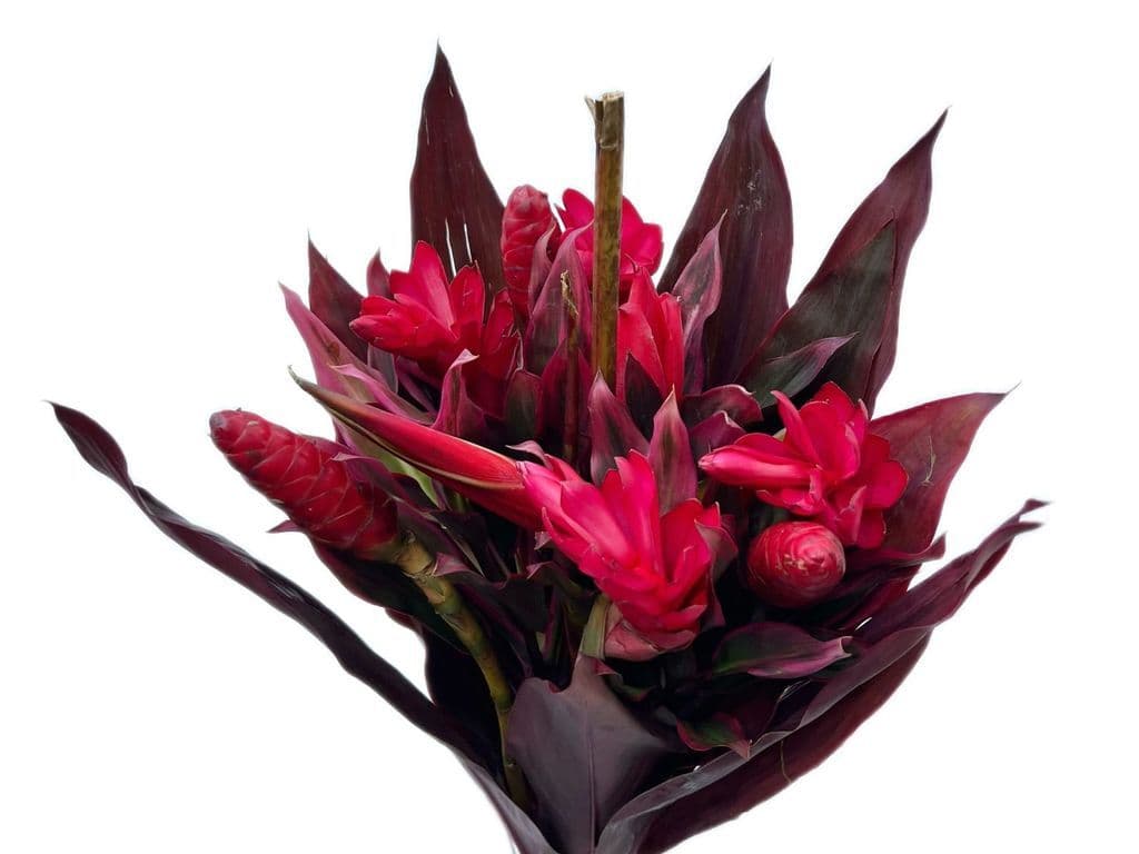 Flowers - Ginger flower bouquet
