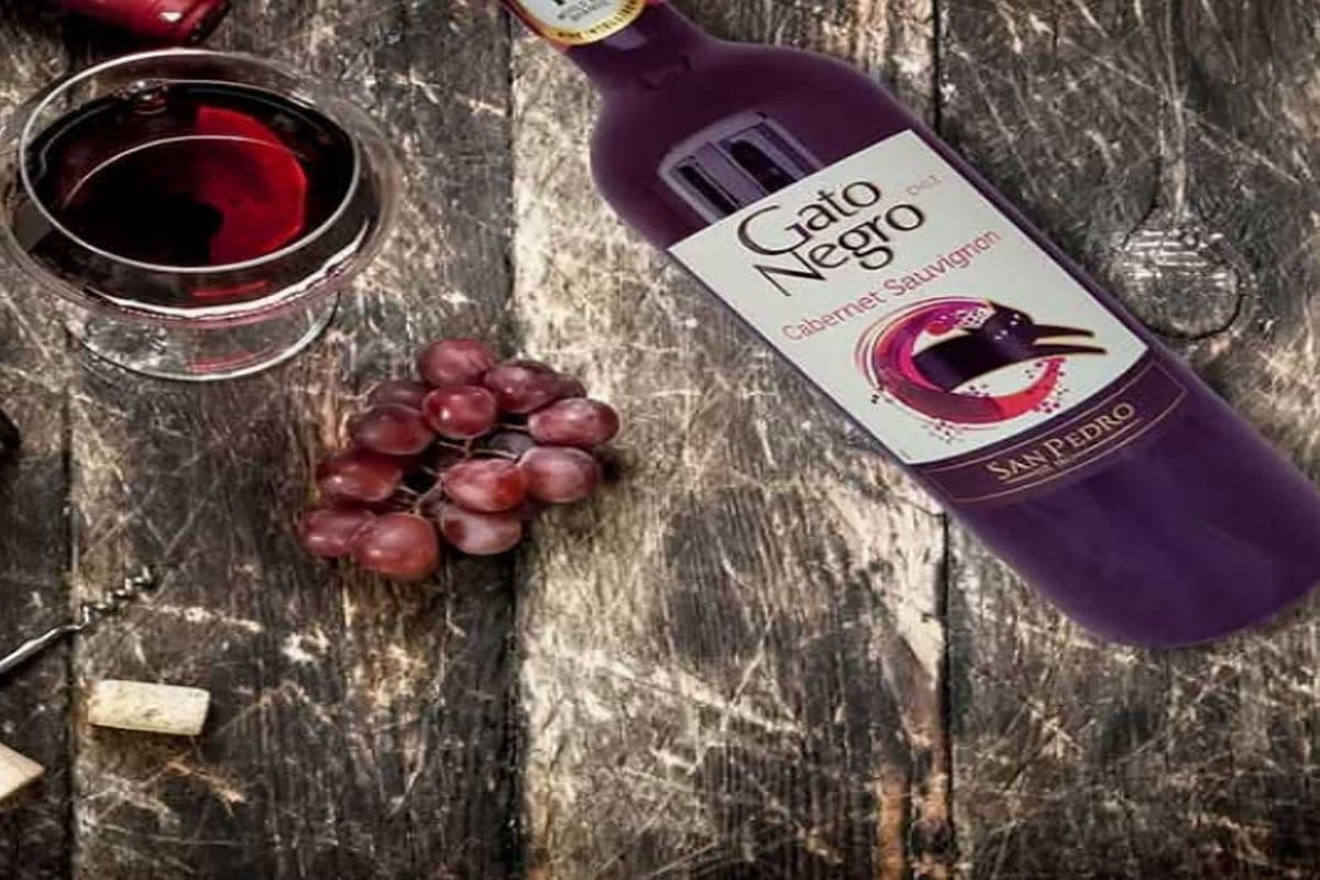 GATO NEGRO CAB (1 x 750 ML)