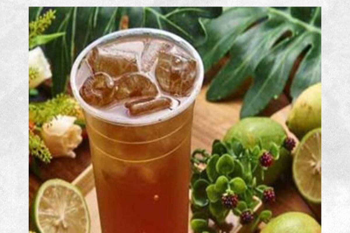 Original Winter Melon Tea 府城冬瓜茶