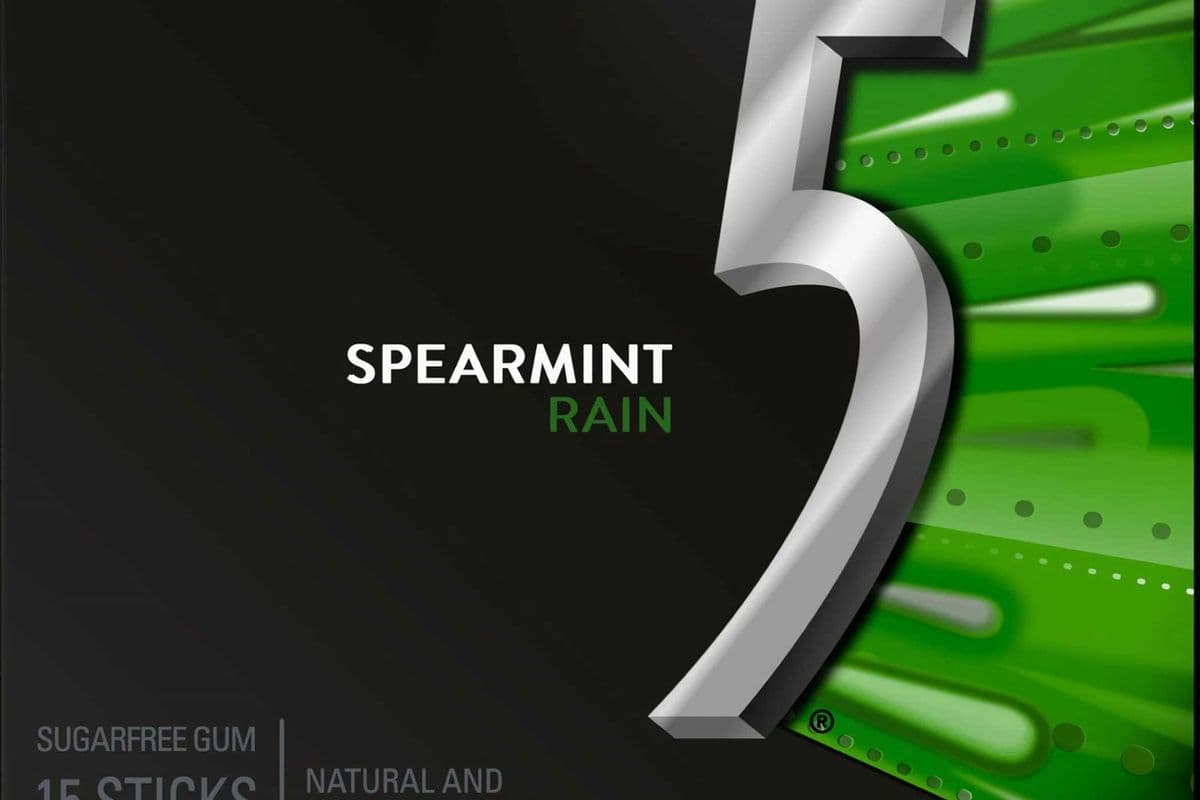5 Gum - Spearmint - Rain - 15 Sticks