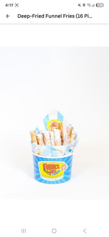 Deep-Fried Funnel Fries (16 Pieces)