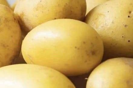 Boiled Potato