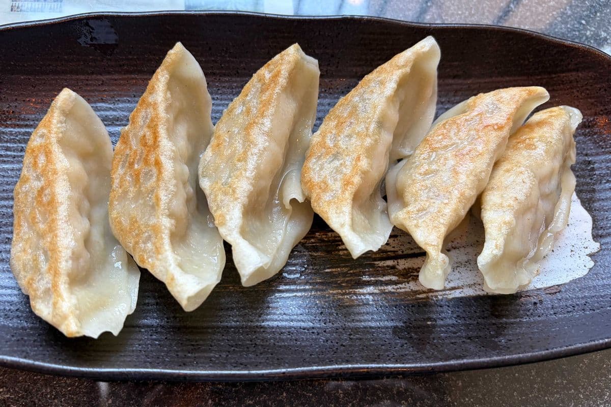 Gyoza