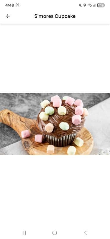 Each S'mores Cupcake