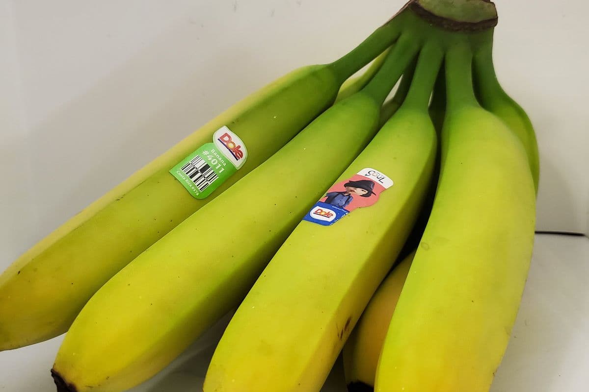 Banana (Single)