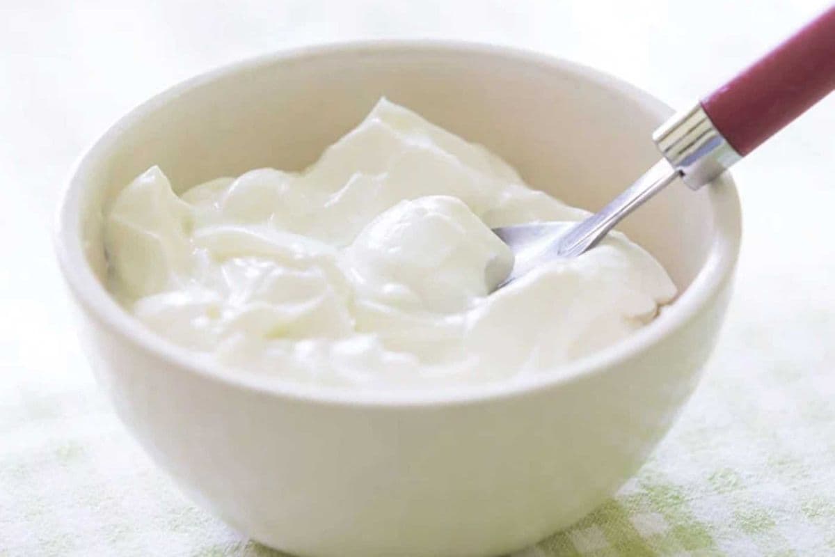 Dahi, Homemade Yogurt