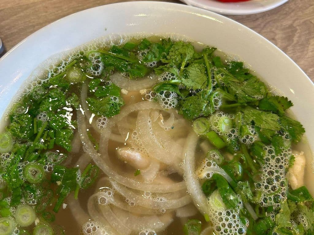 Chicken Noodle Soup