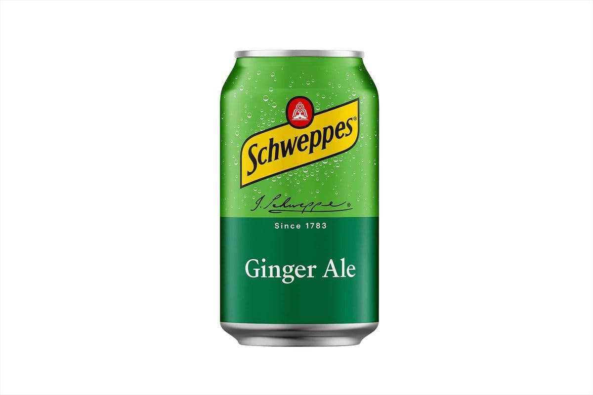 Ginger Ale (355ml)