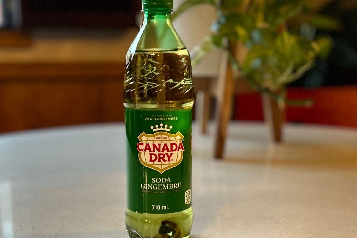 Bottle ginger ale (710 ml)