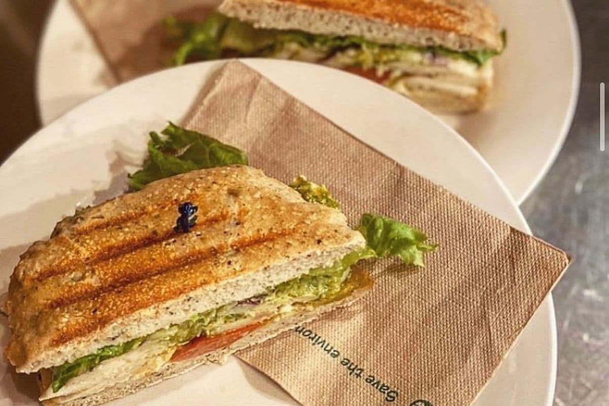 Tuna Panini
