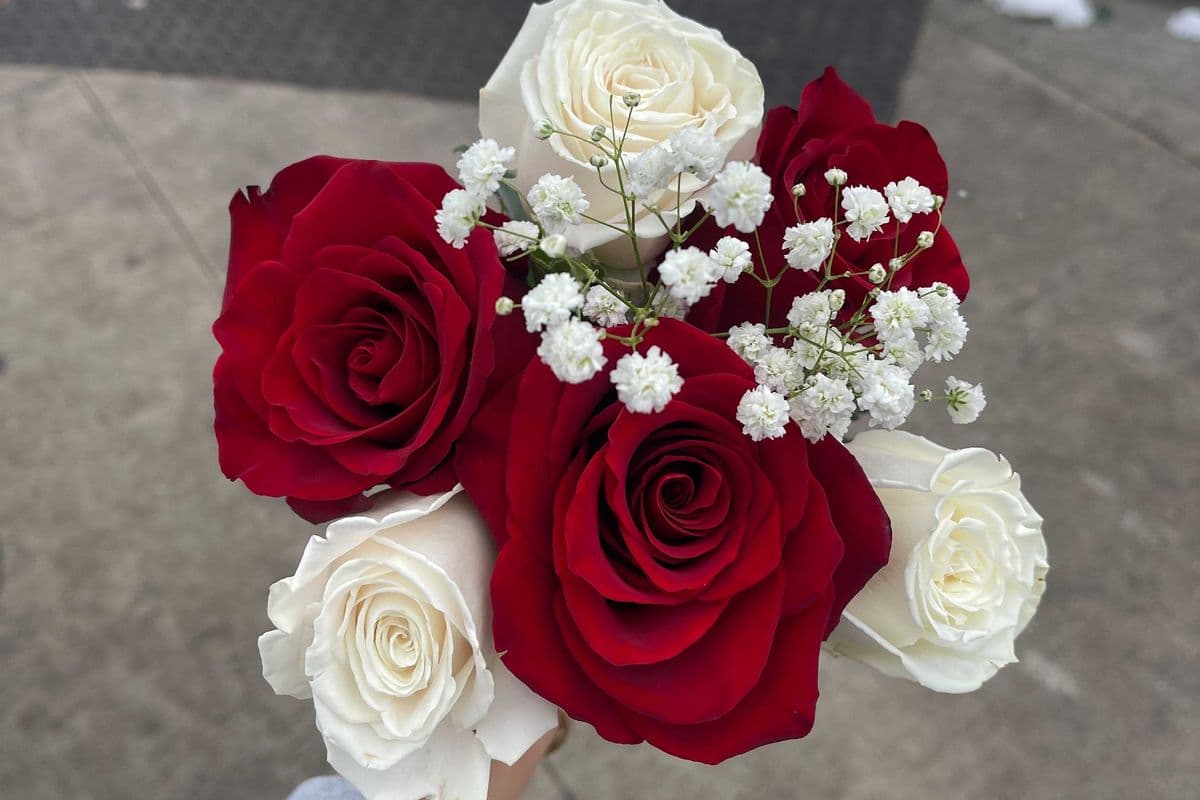 Mix Red and White Roses - 6 Stems