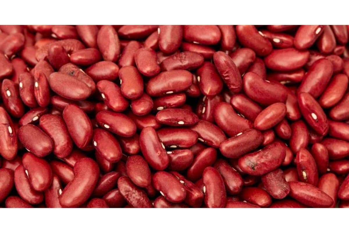 Red Kidney Beans (1.6 lb)