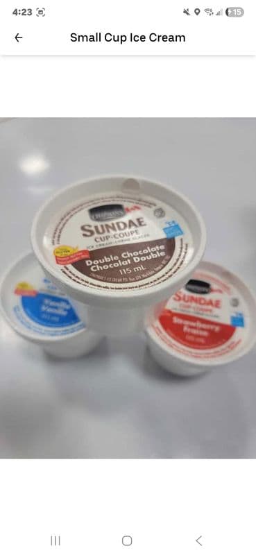 Small Cup Ice Cream