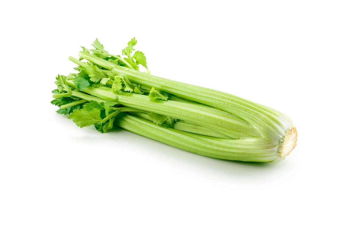 Celery
