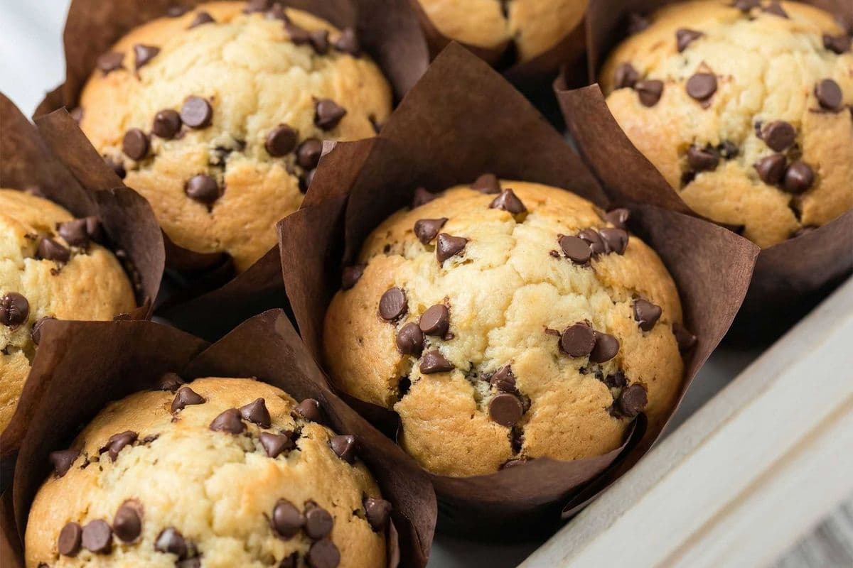 Chocolate Chip Muffin