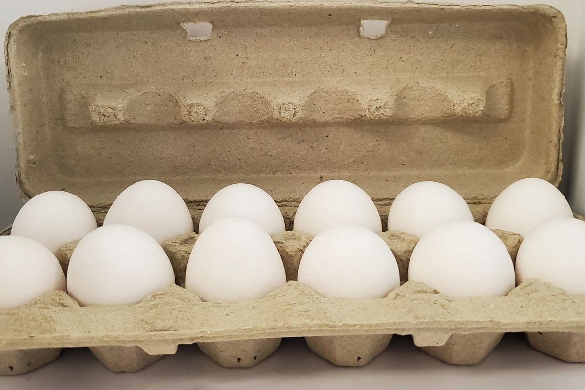 Eggs Dozen Large