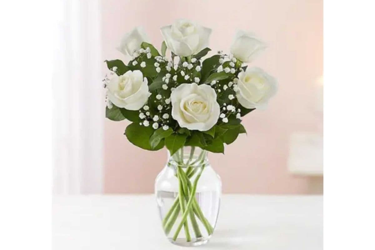 6 White roses in a vase
