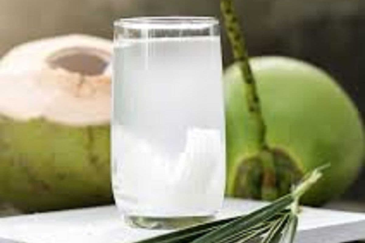 797. Dừa Xiêm