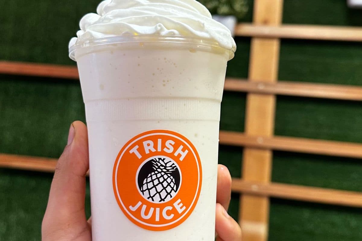 Vanilla Protein Milkshake (500 ml)
