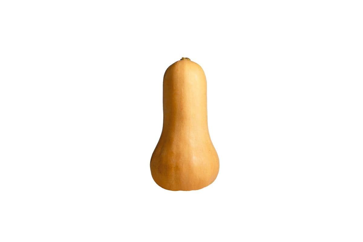 Butternut Squash (1 Count)