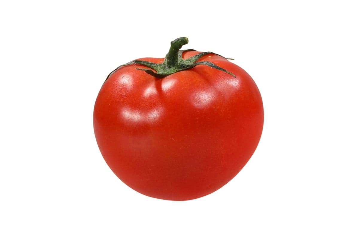 Tomato (Box)