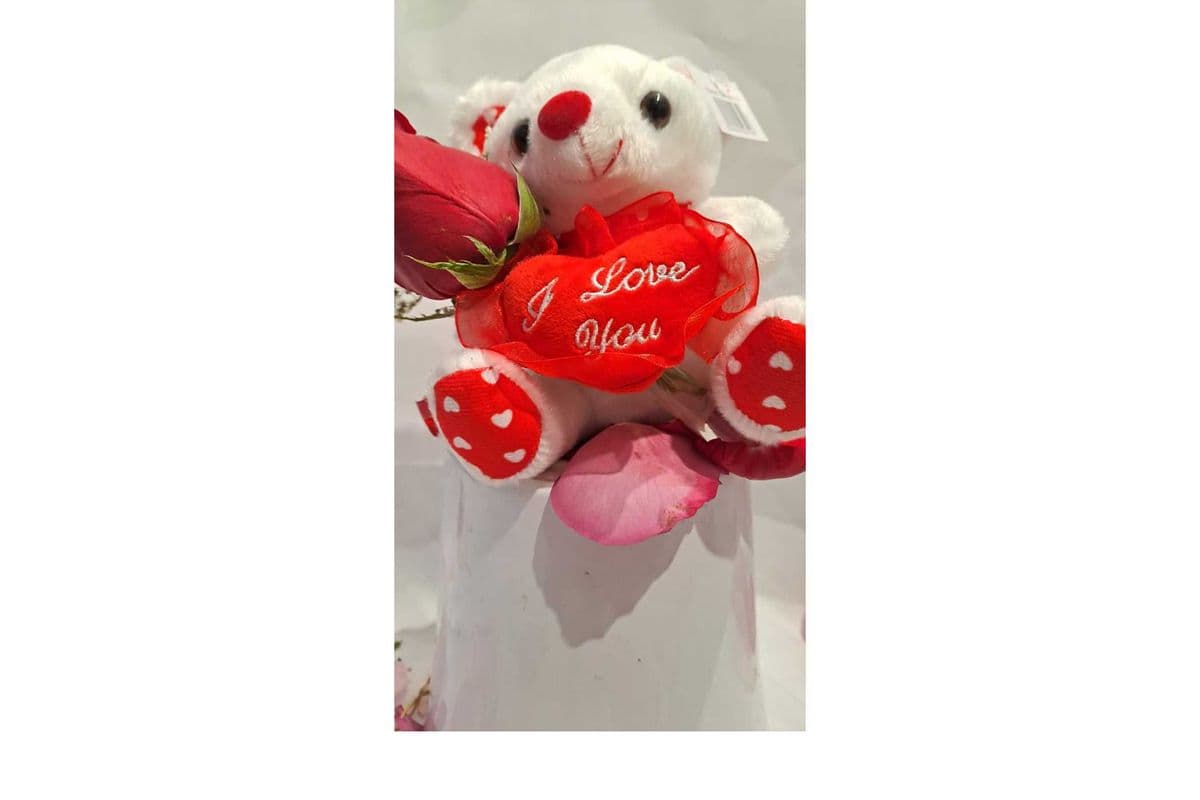 I Love You Bear only