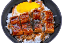 Unagi Don