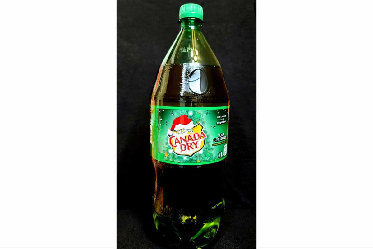 Ginger Ale (2 L) (2L)