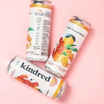 Kindred Water Kefir Lemon Ginger 355mL