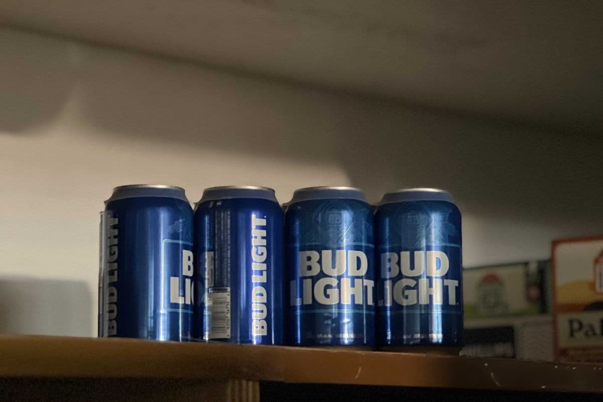 Bud Light (8 Pack) (1 x 8 PK)