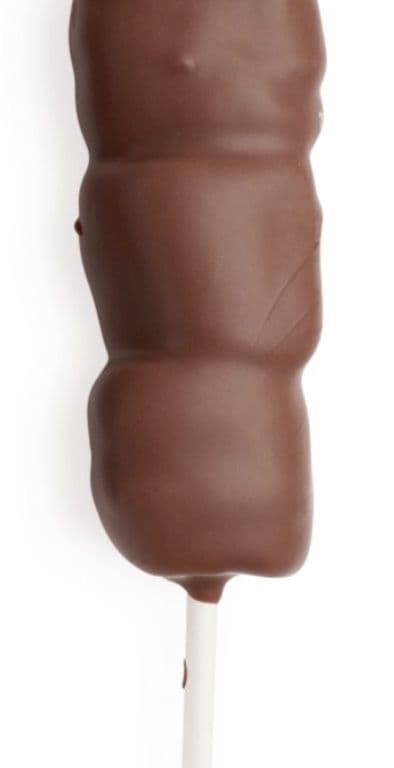 Marshmallow Stick