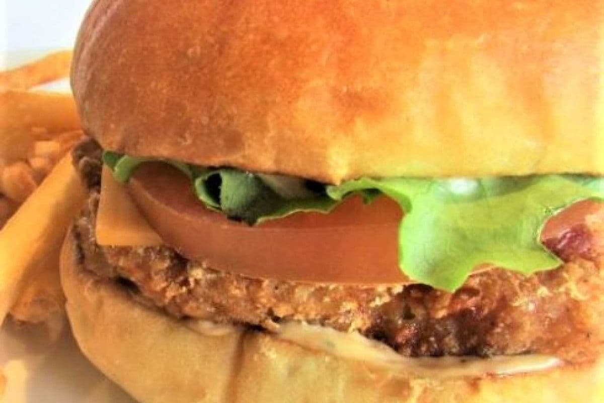 Chipotle Chicken Burger Meal
