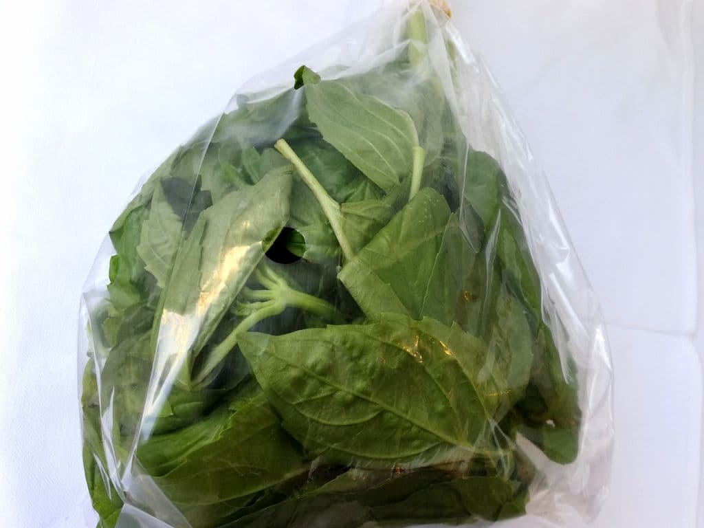 Basil (Bunch)