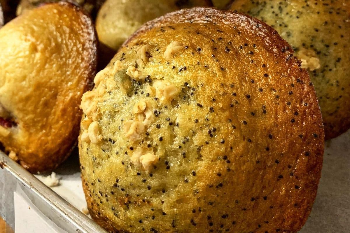 Lemon Poppy Seed Muffin