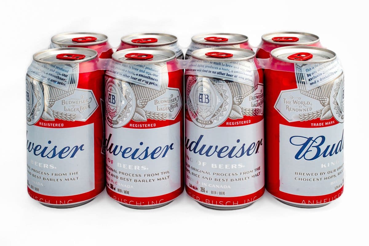Budweiser (8 Pack) (1 x 355 ml)
