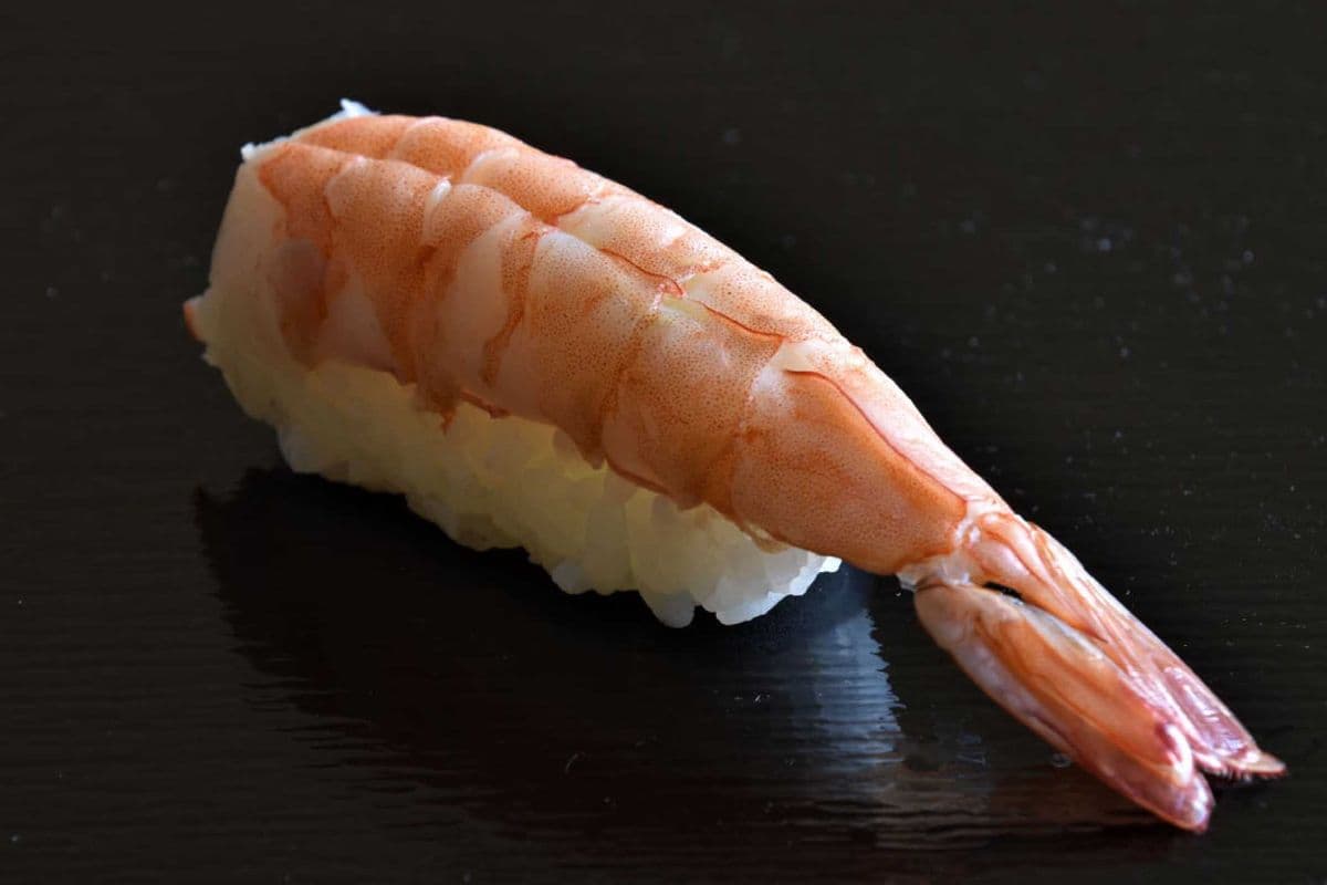 Shrimp (Ebi) Nigiri