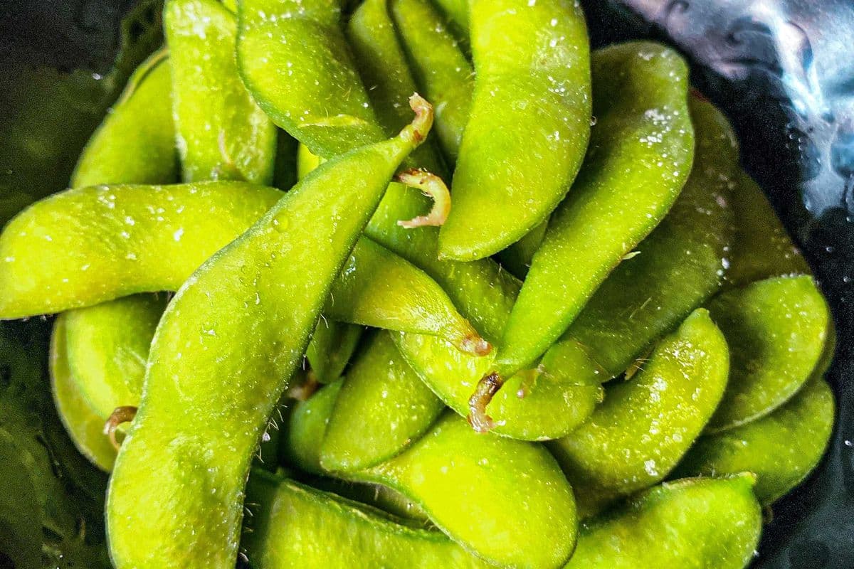 Edamame
