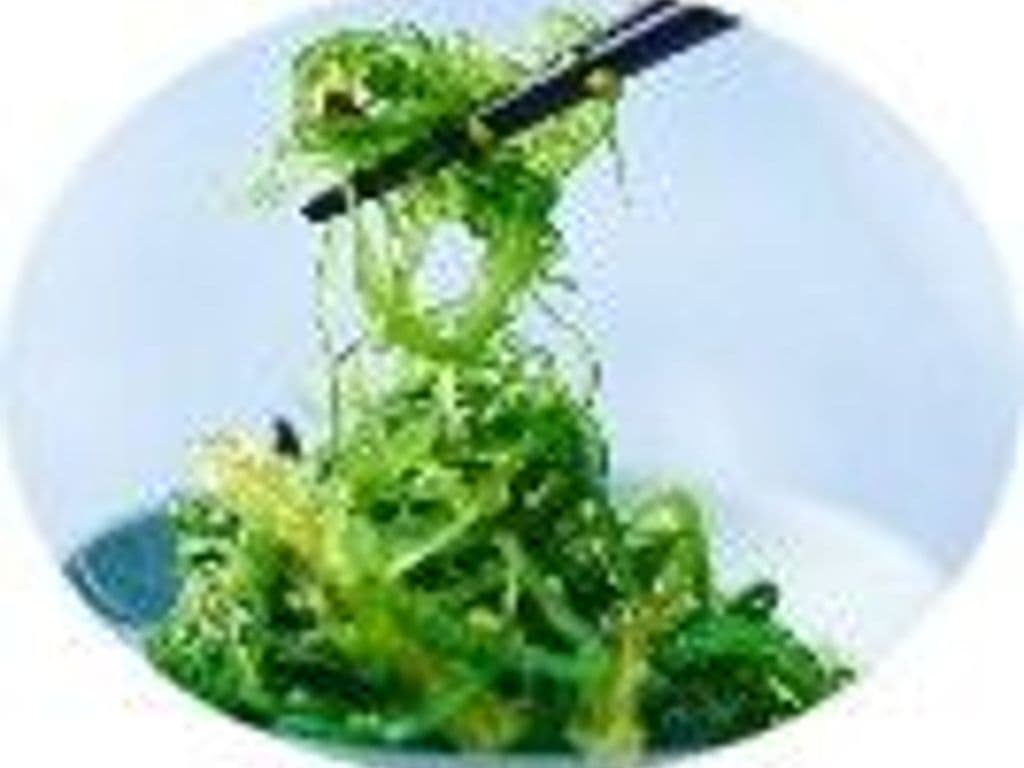Seaweed Salad