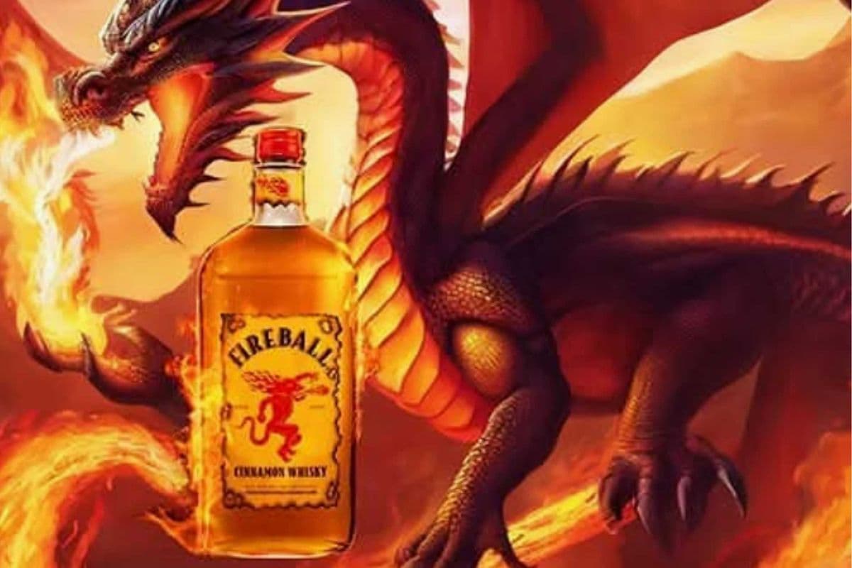FIREBALL CINNAMON WHISKEY (1 x 750ML)