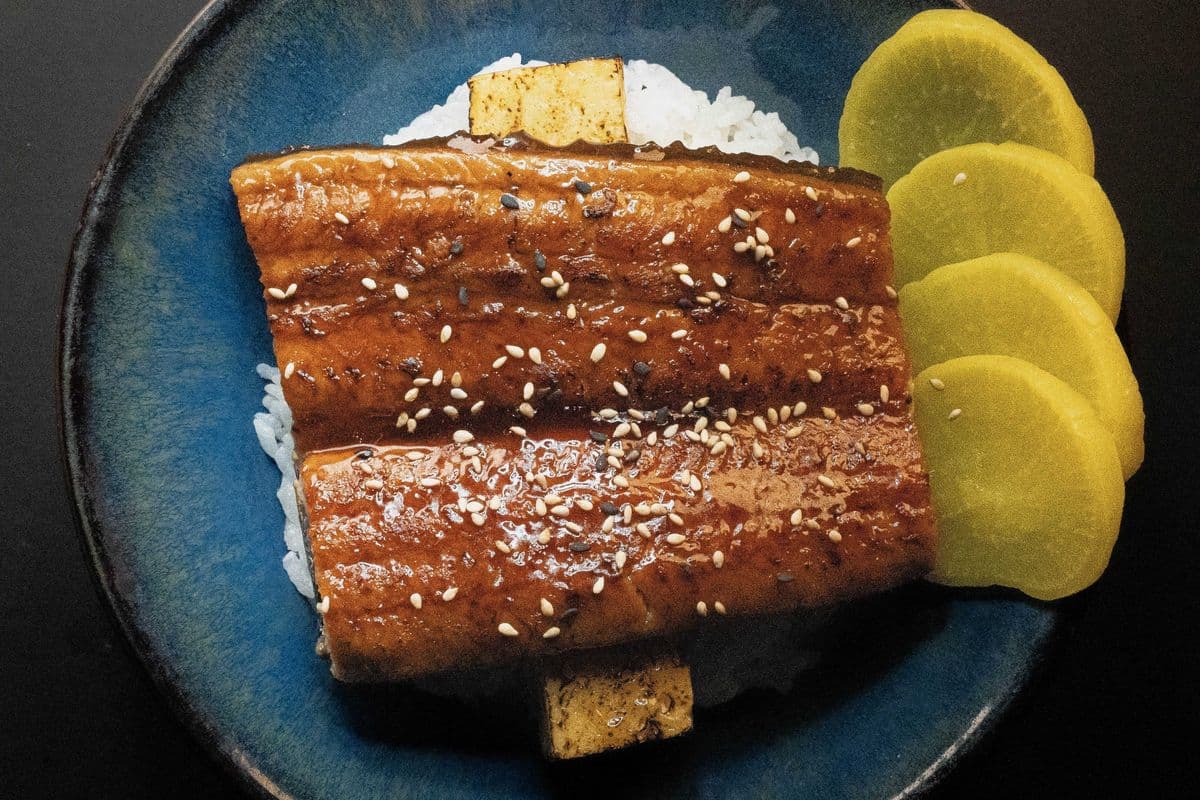 1073. Unagi Don