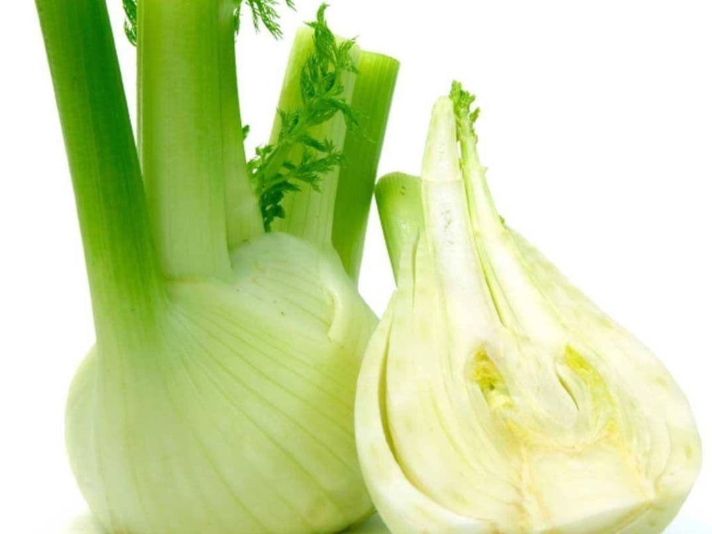Fennel (Each)