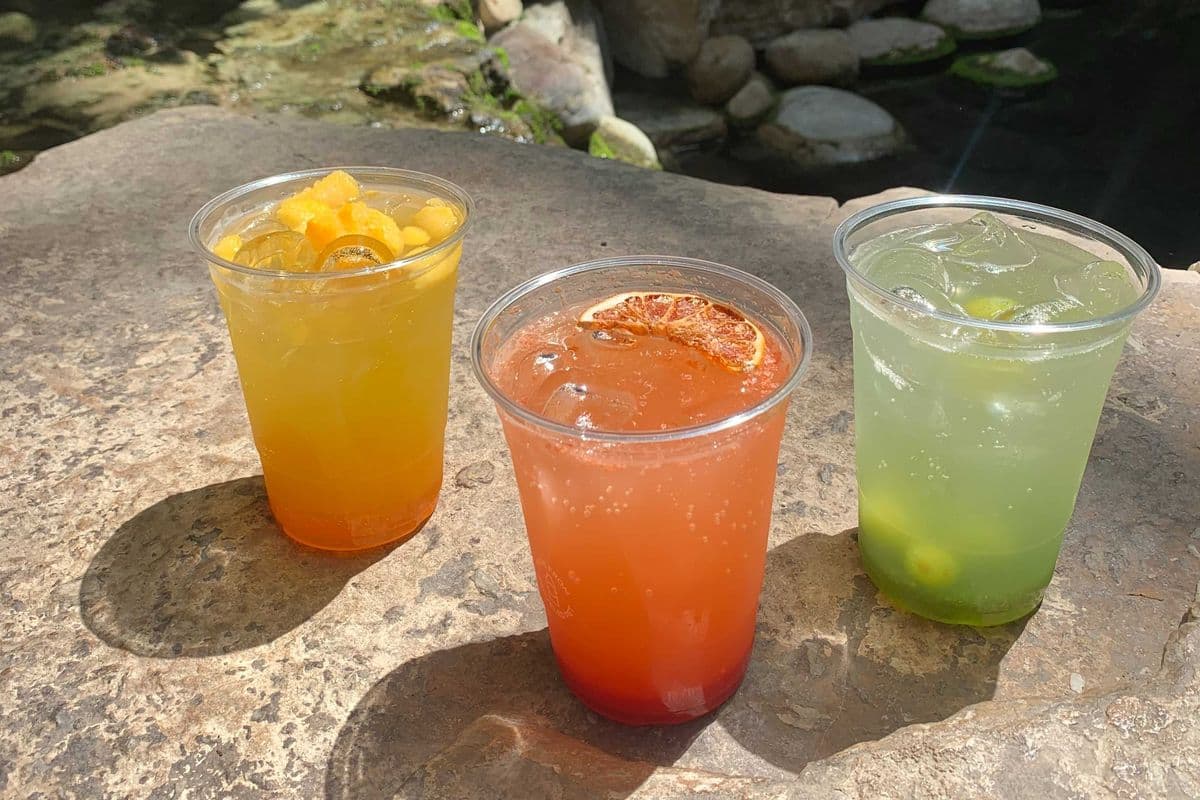 Refreshers