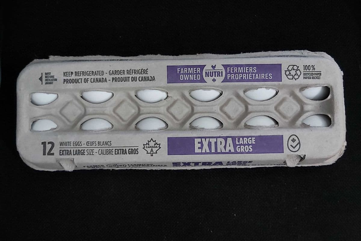 Oeufs 12 douzaines large / Egg 12 Dozen Large