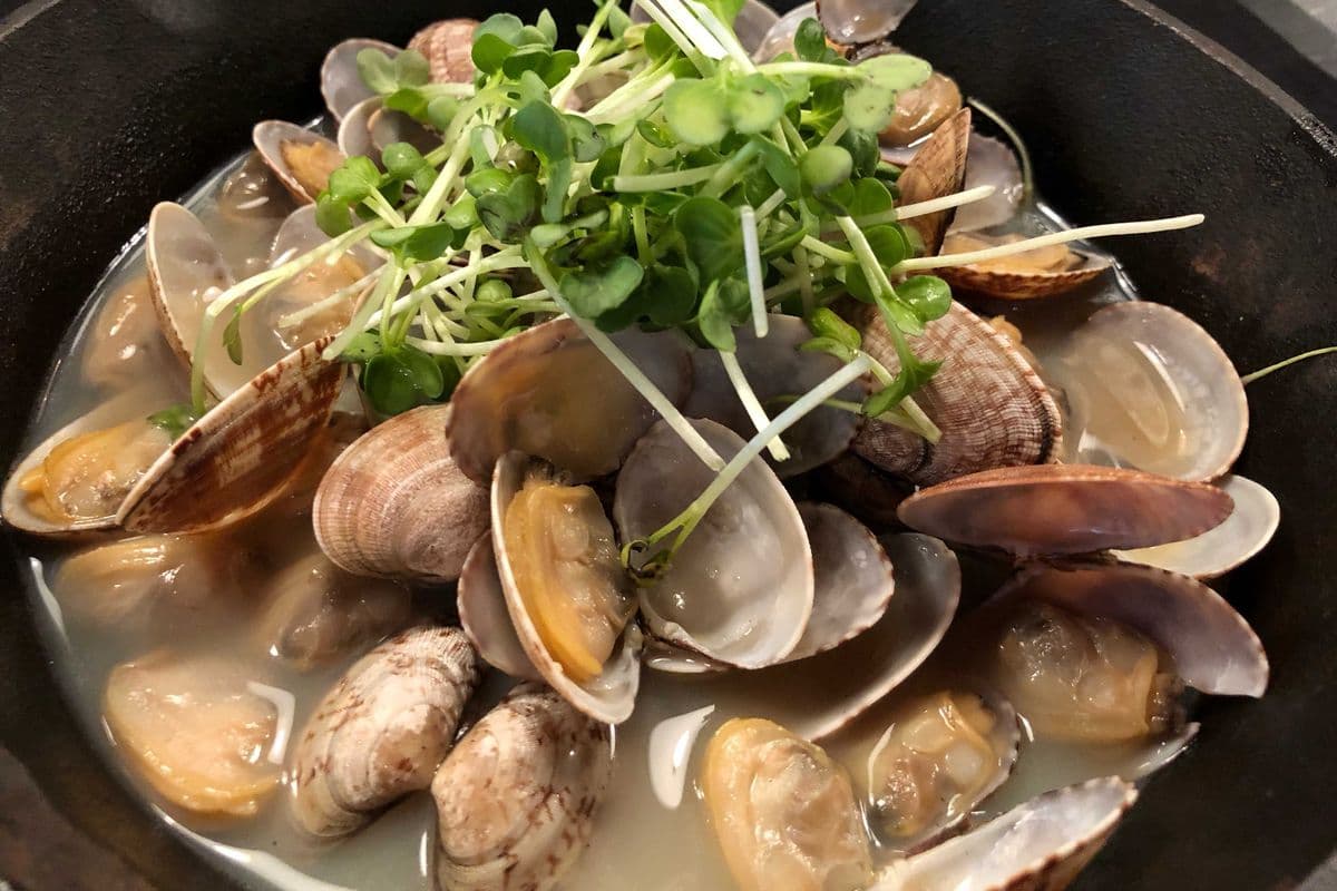 157. Drunk Clam