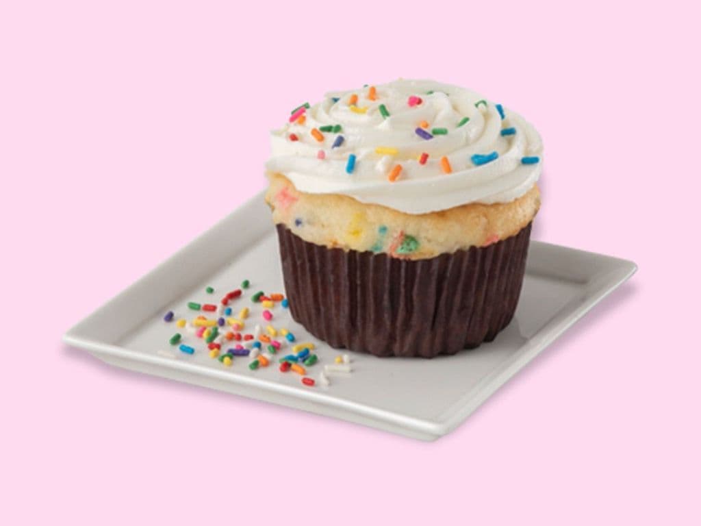 Blackout Choclate Mini Cupcakes 10PK